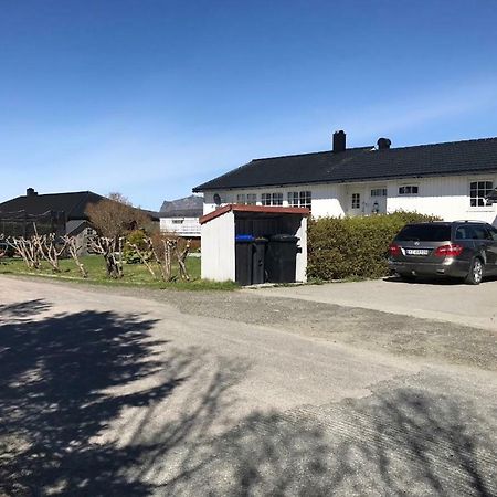 Cozy & Private Room In The Middle Of Lofoten Leknes Exteriör bild